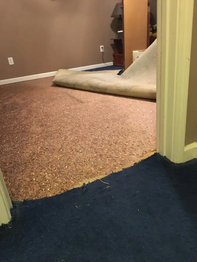 Carpet pad removal revealing water damage during Drying & Dehumidification in Millbury